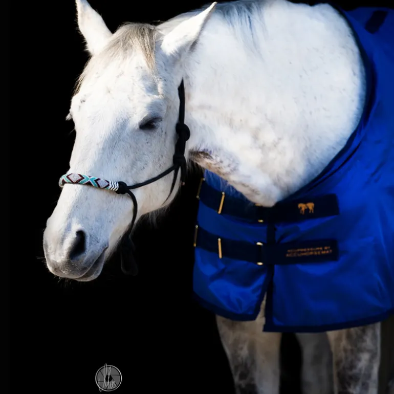 Accuhorsemat Original inkl. Akupressurmatten