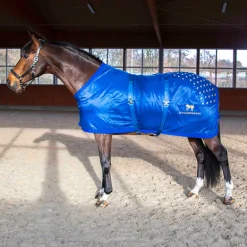Accuhorsemat Original inkl. Akupressurmatten