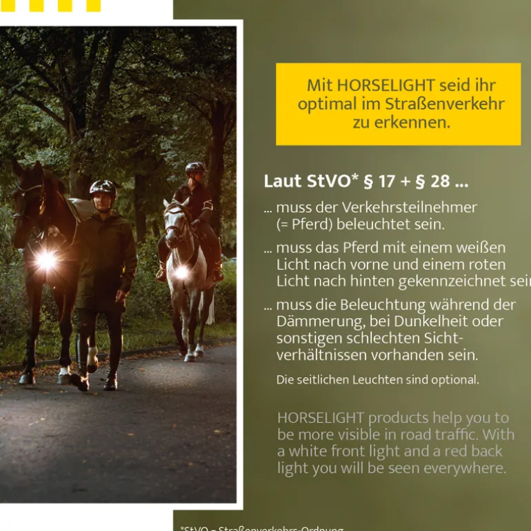 Bauchgurt "Horselight" - rote Leuchte
