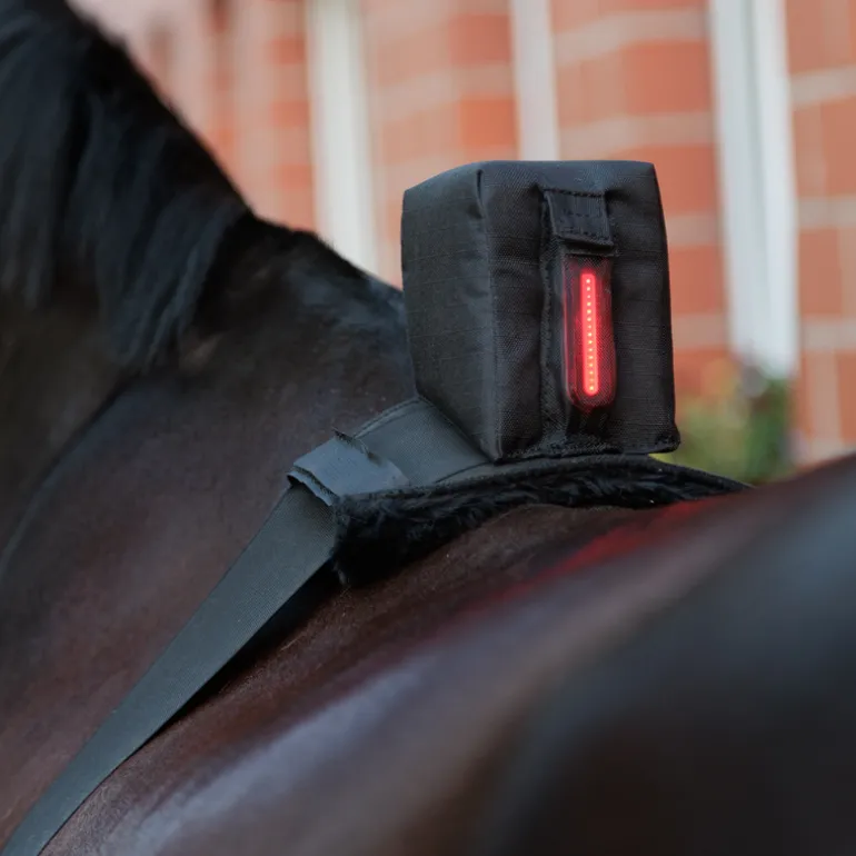 Bauchgurt "Horselight" - rote Leuchte