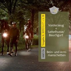 Bauchgurt