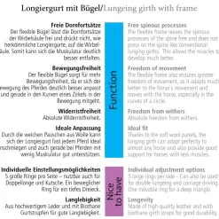 Bügel-Longiergurt - Leder