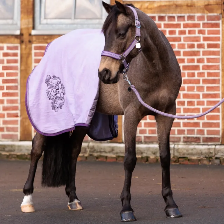 Fleece- Abschwitzdecke "Unicorn Academy"-Kordel