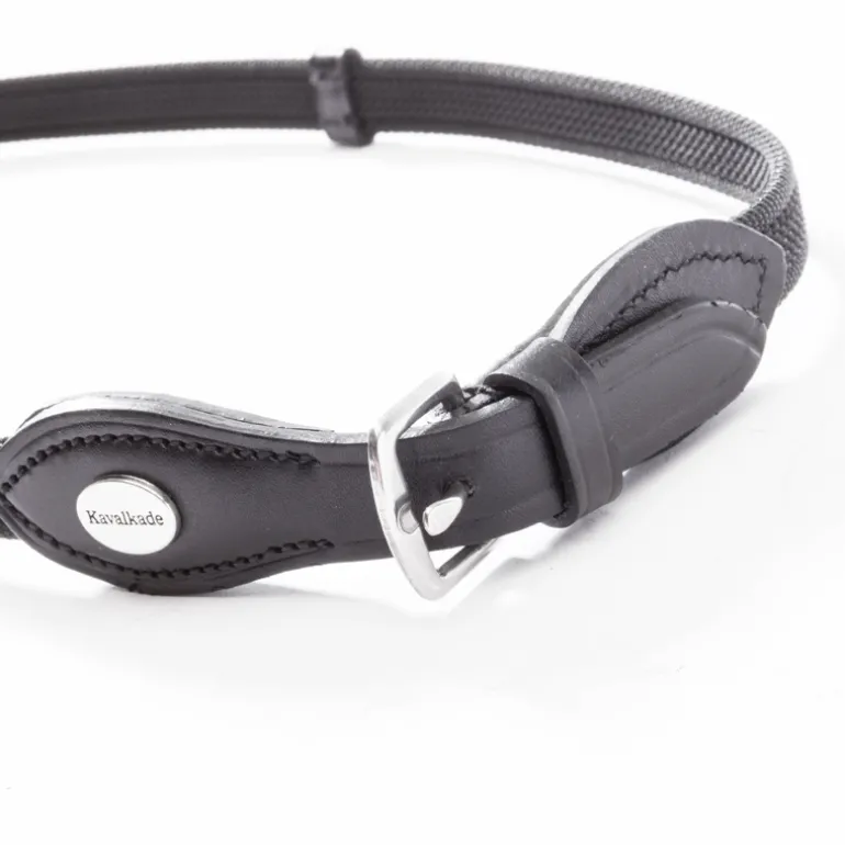 Gummierter Zügel "Silent" Karabiner-16mm-5St.