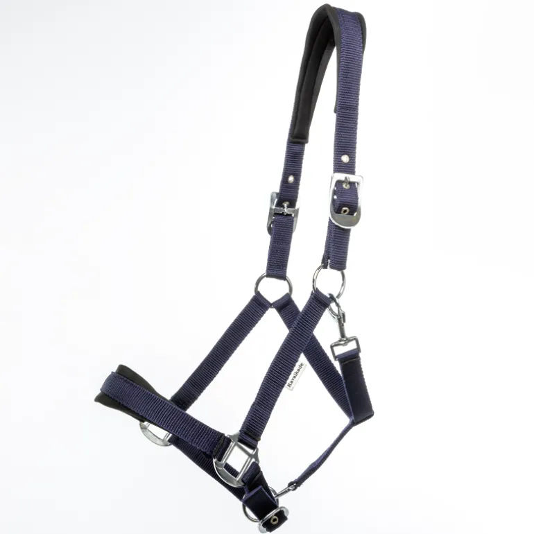 Halfter "Classic Simple"