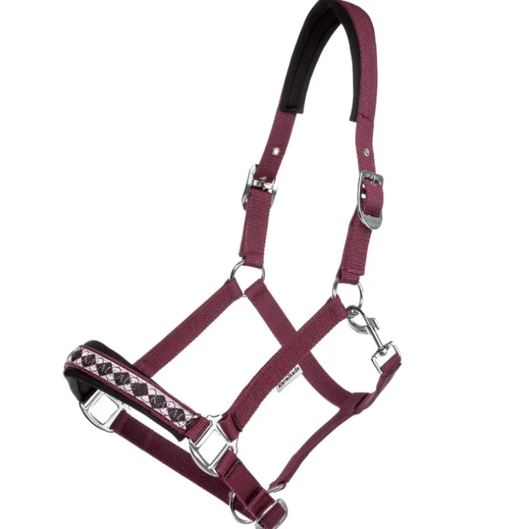 Halfter "Kaltblut Classic"