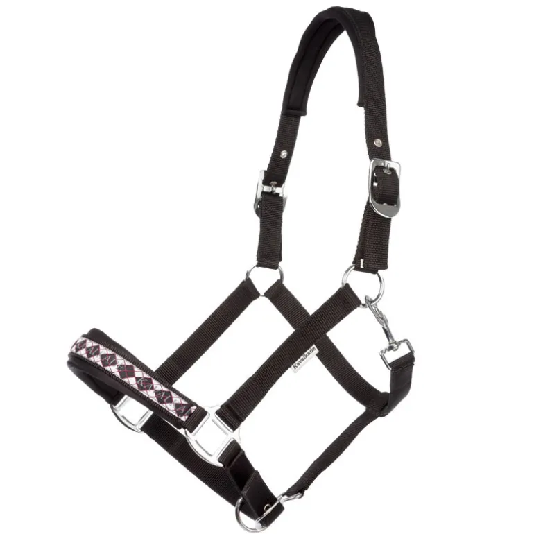 Halfter "Kaltblut Classic"