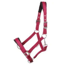 Halfter "Kaltblut Classic Simple"