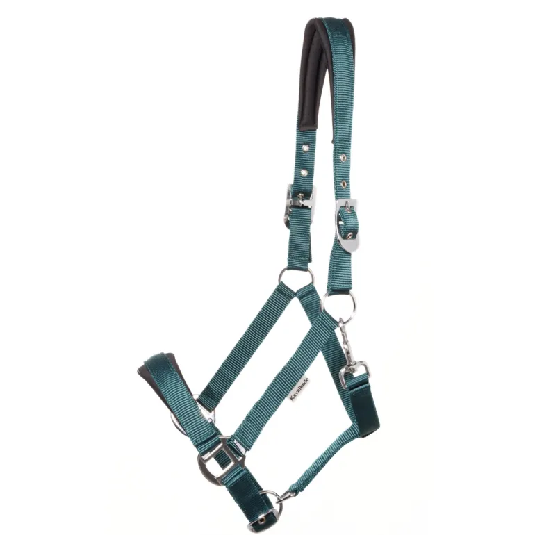 Halfter "Kaltblut Classic Simple"