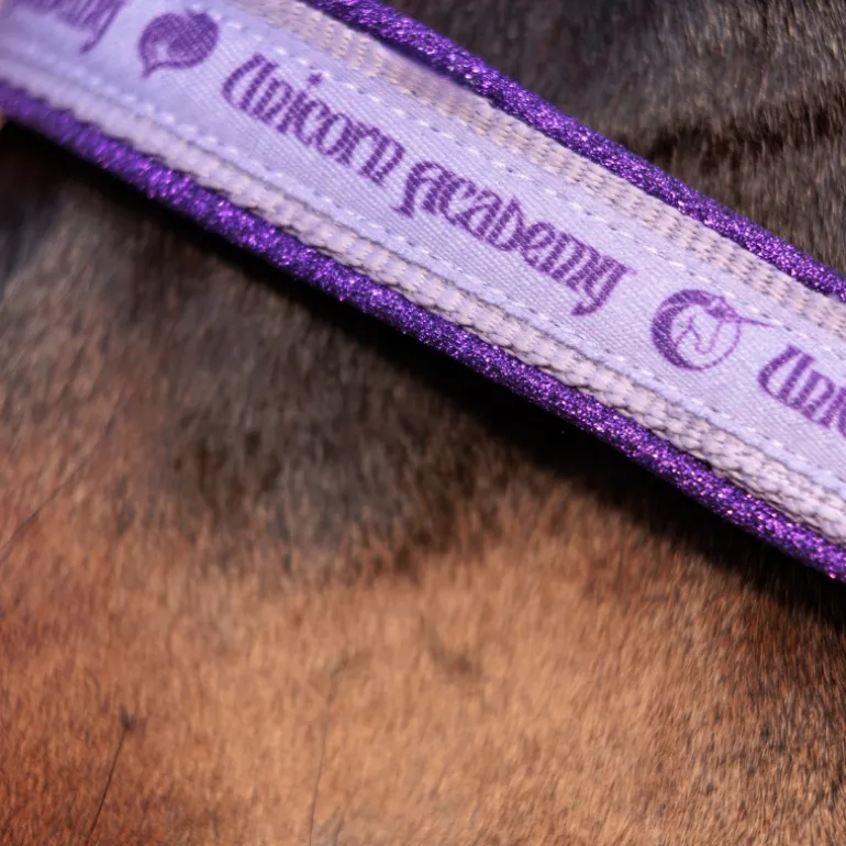 Halfter "Unicorn Academy"-Glitzer