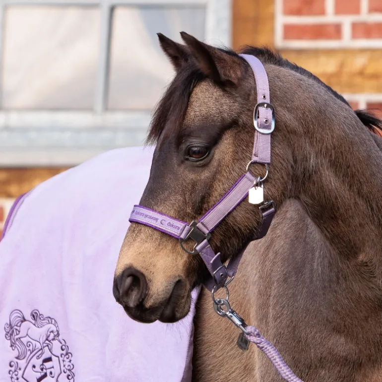 Halfter "Unicorn Academy"-Glitzer