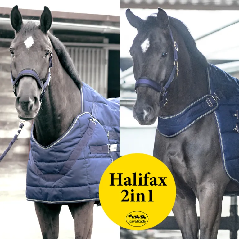 Halifax 2in1 Stall- und Führanlagendecke 400g