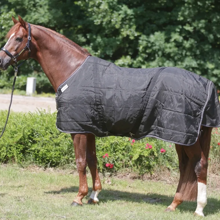 Hengstdecke "Stallion"-Brustlatz 50g