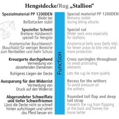 Hengstdecke