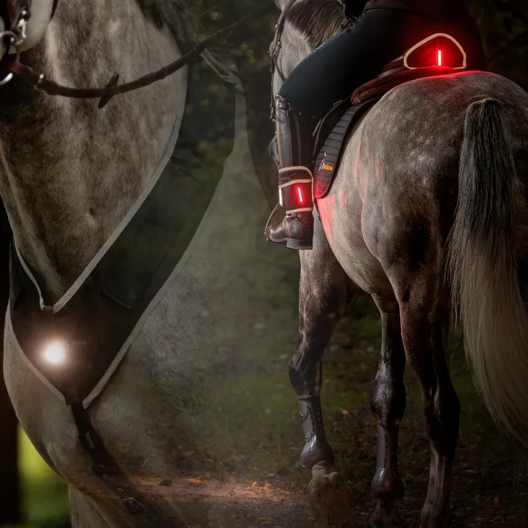 Horselight Set 2 -VZ+Sattelhusse-Beinmanschetten