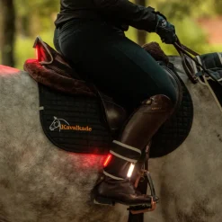 Horselight Set 2 -VZ+Sattelhusse-Beinmanschetten