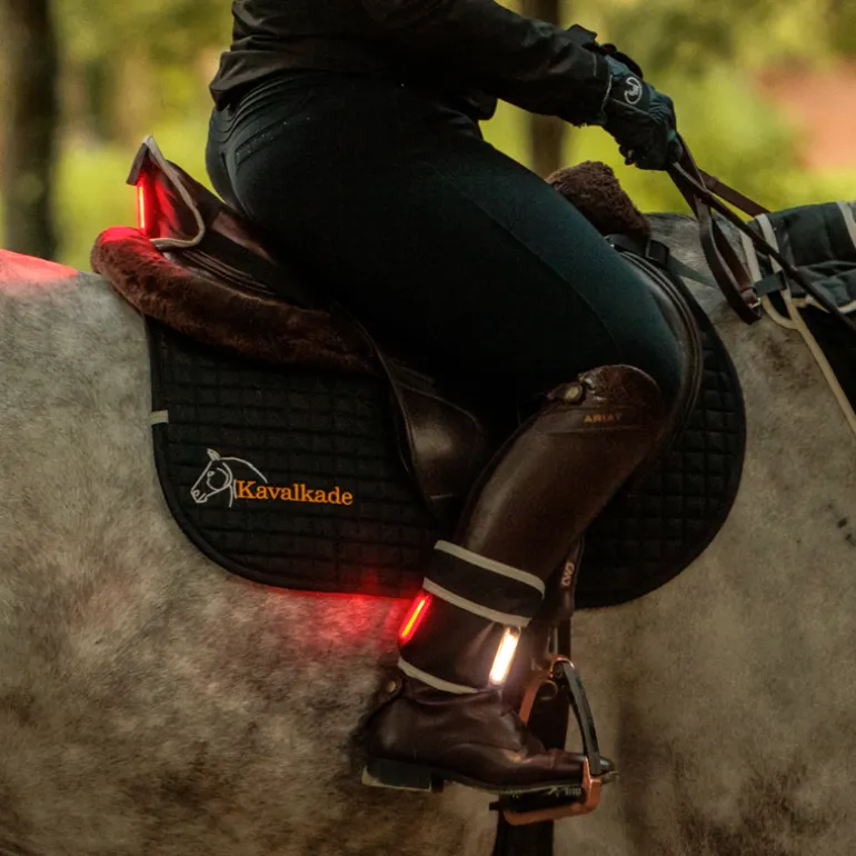 Horselight Set 2 -VZ+Sattelhusse-Beinmanschetten