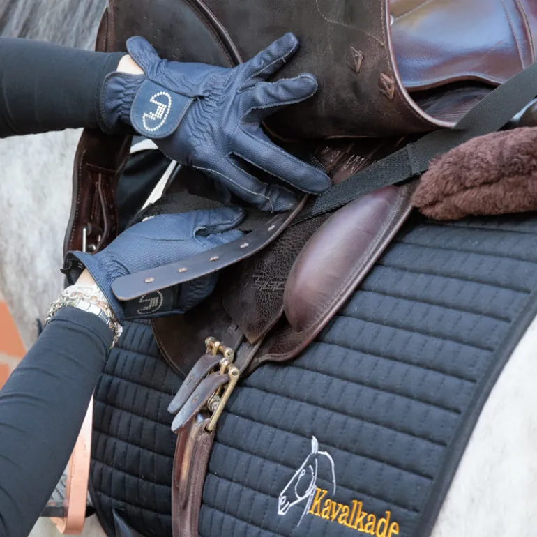 Horselight Set 2 -VZ+Sattelhusse-Beinmanschetten