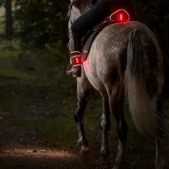 Horselight Set 2 -VZ+Sattelhusse-Beinmanschetten