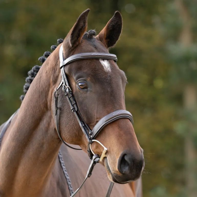 Huntertrense "Benita" eng.