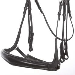 Kombi-Kandare