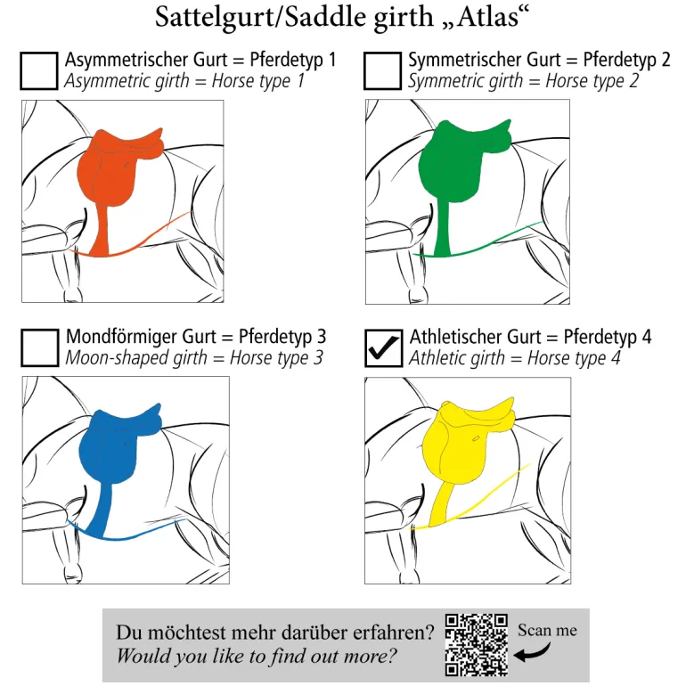 Langgurt geöltes Leder "Atlas" mit Elast