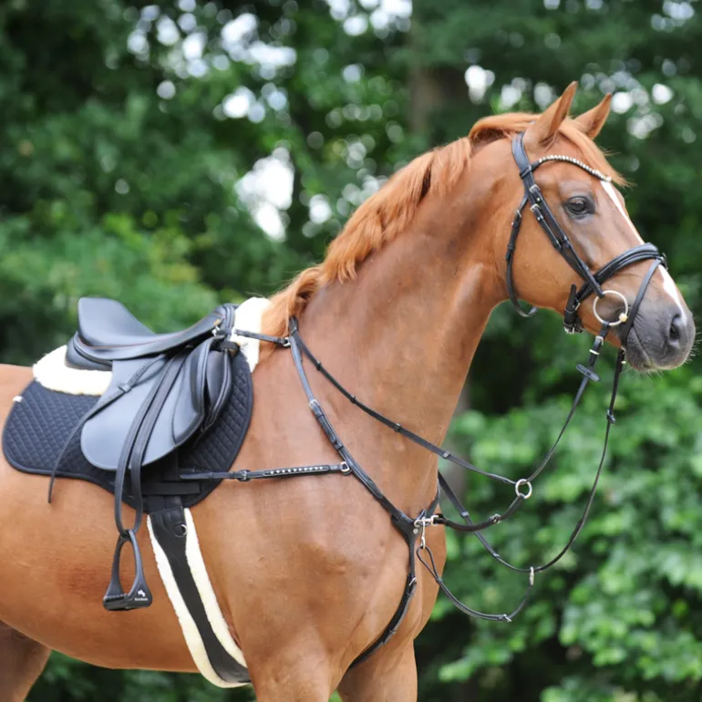 Langgurt geöltes Leder "Comfort"-Kunstfell-Elast