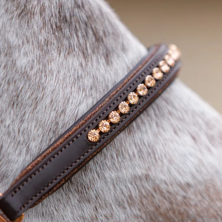 Lederhalfter "Falka" mit Glitzerpiping und Steinen