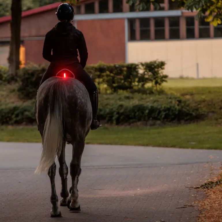 Sattelhusse"Horselight" - rote Leuchte