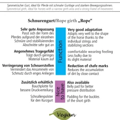 Schnurenkurzgurt