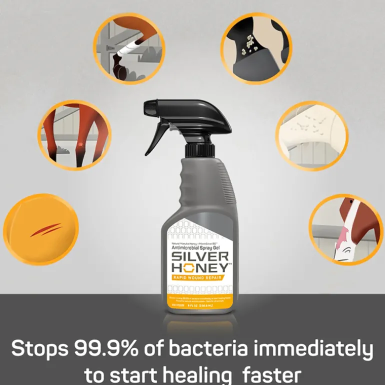 Silver Honey Spray - 240ml