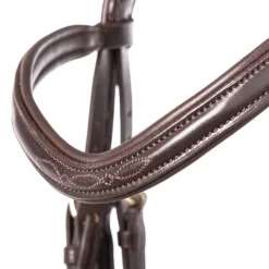 Springtrense