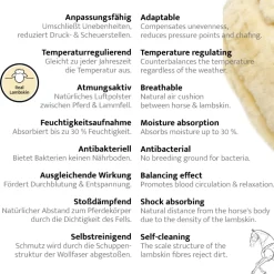 Stollenschutzgurt