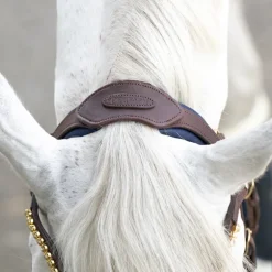 Trense geöltes Leder