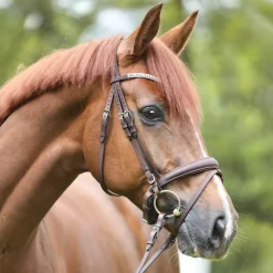 Trense geöltes Leder