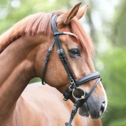 Trense geöltes Leder