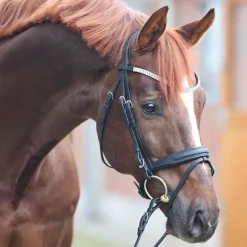 Trense geöltes Leder