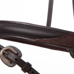 Trense geöltes Leder "Everyday" eng.-komb.
