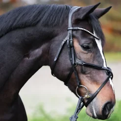 Trense "Lucia" mex.