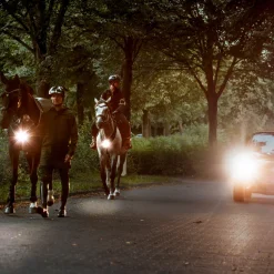 Vorderzeug "Horselight"-weiße Frontleuchte