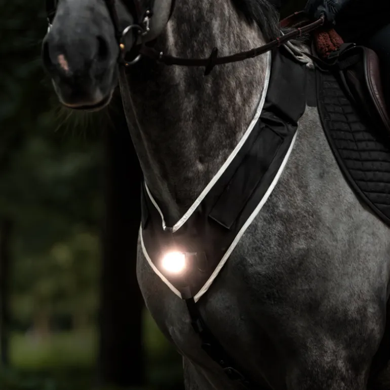 Vorderzeug "Horselight"-weiße Frontleuchte