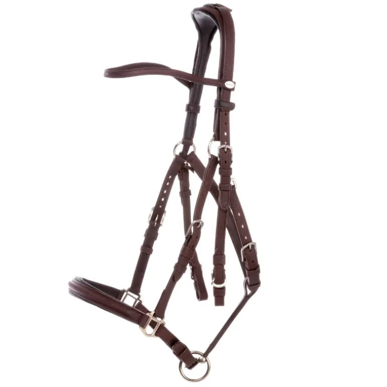 Wanderreittrense "Artemis"